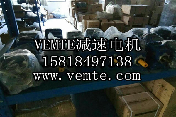 VEMT减速机电机制造厂家 (2)