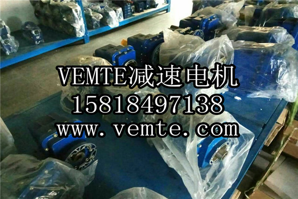 VEMT减速机电机制造厂家 (9)
