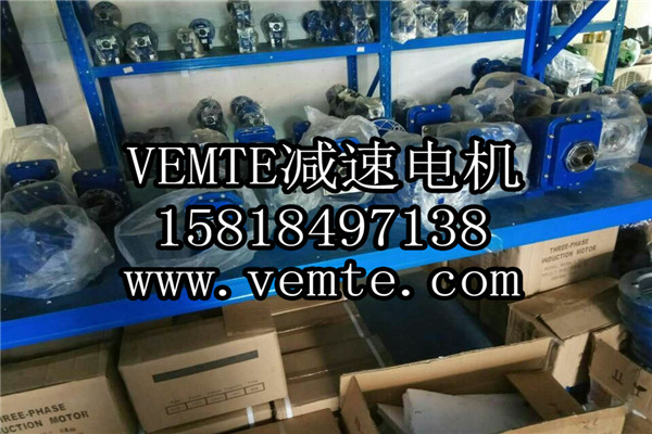 VEMT减速机电机制造厂家 (8)