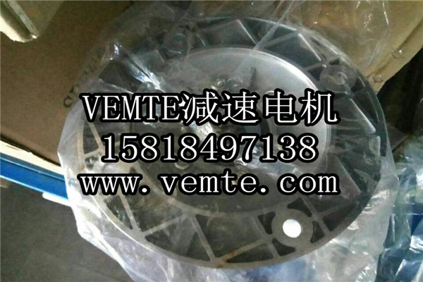 VEMT减速机电机制造厂家 (10)