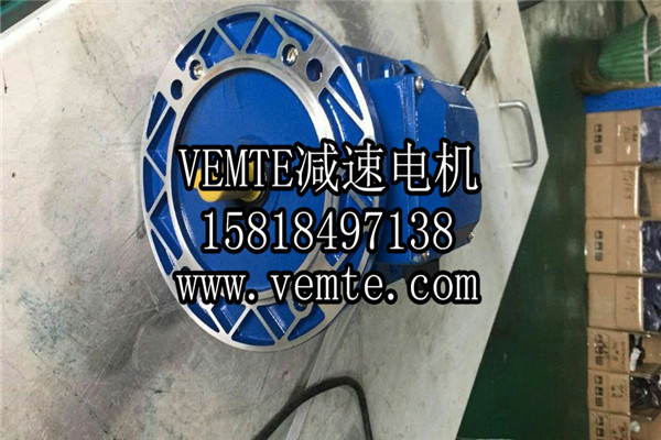 VEMT减速机电机制造厂家 (20)