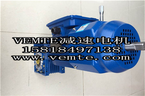 VEMT减速机电机 (3)