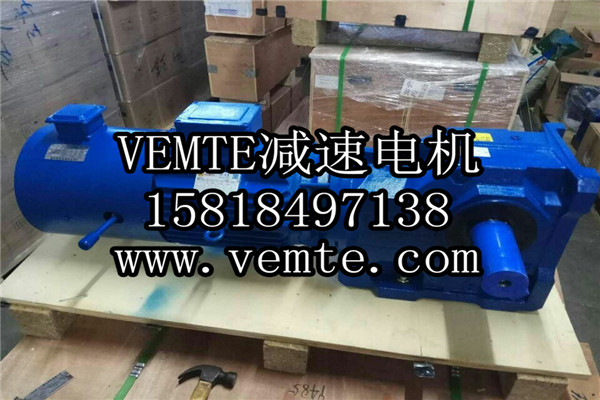 VEMT减速器电机生产厂家 (3)