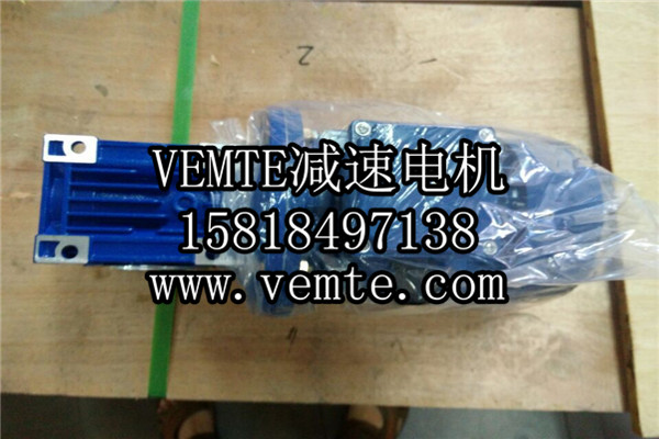 VEMT减速机电机厂家 (8)