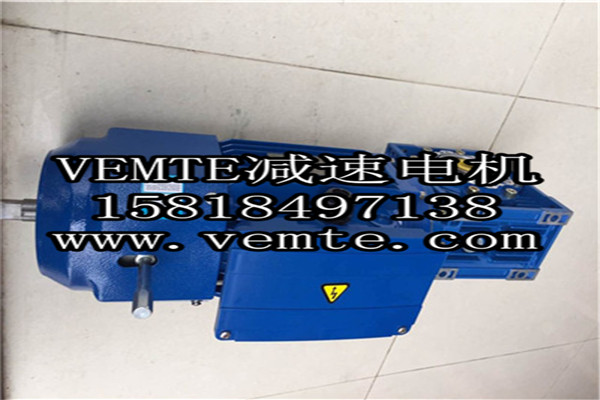 VEMT减速机电机 (4)