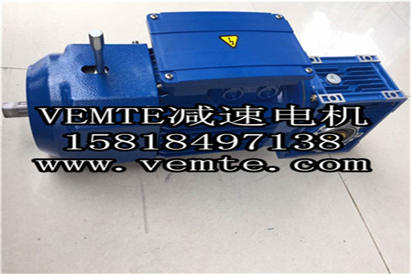 VEMT减速机电机 (5)